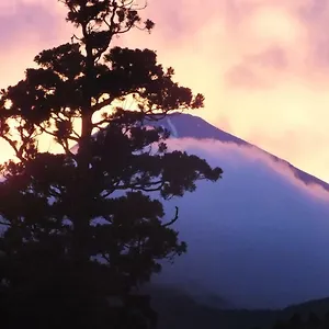 Hananoyado Fukuya ריוקן האקונה