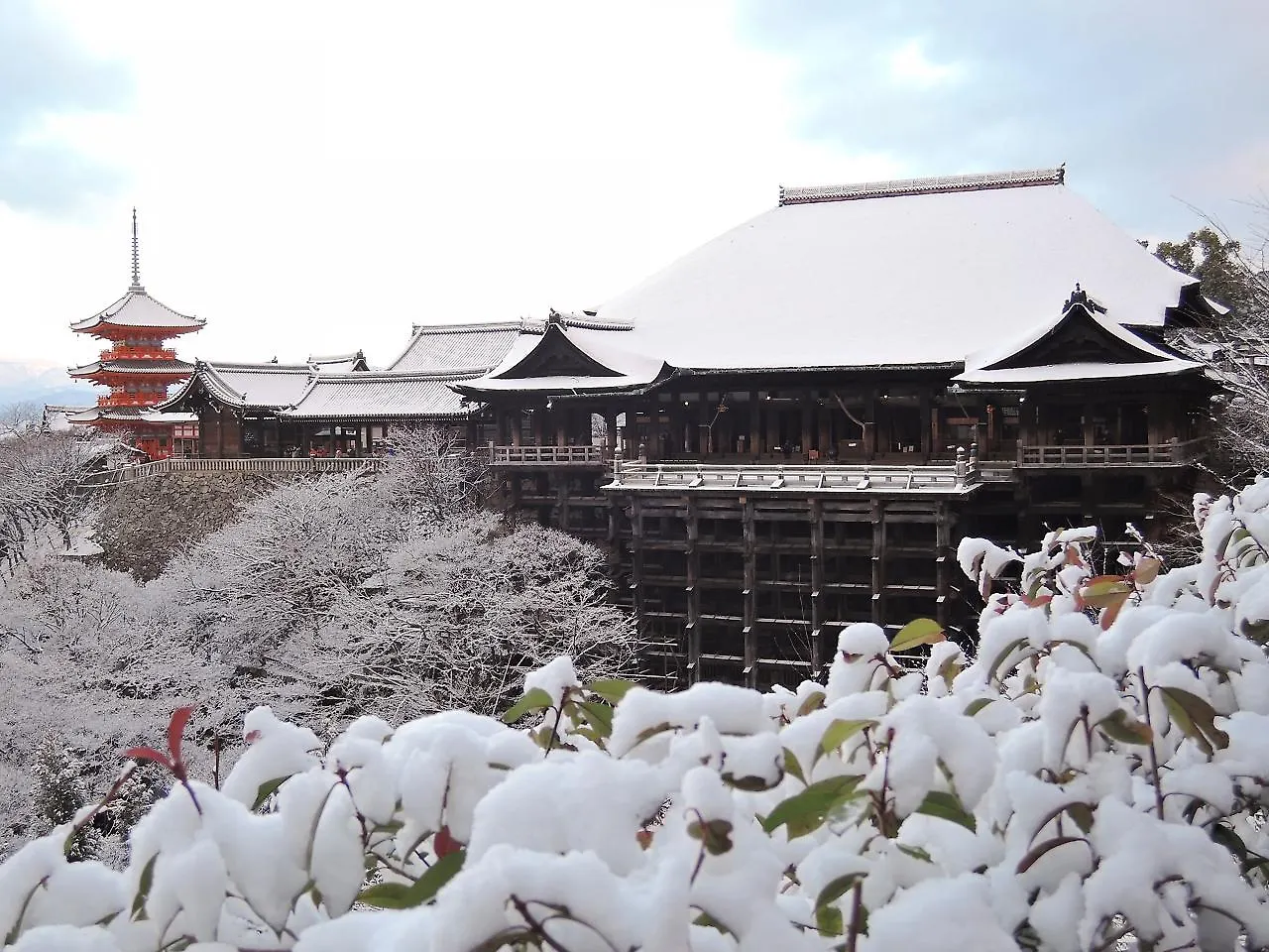 Stay Sakura Kyoto Shijo Karasuma Japan